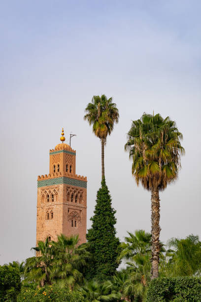 istock Palm Trees in front of Koutoubia Mosque in Marrakesh Morocco 1158529830