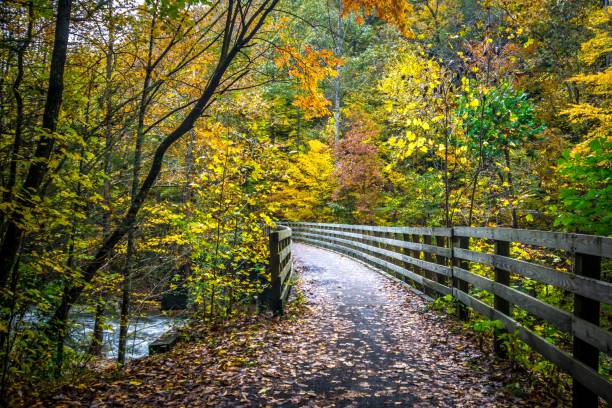 istock Scenic views along virginia creeper trail 1158529924