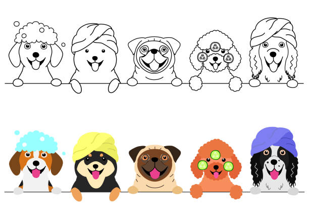 Small Dogs Enjoying Spa In A Row Stock Illustration - Download Image Now - Dog, Spa, Taking a Bath - iStock Small Dogs Enjoying Spa In A Row Stock Illustration - Download Image Now - Dog, Spa, Taking a Bath - iStock