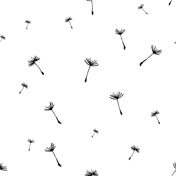 ilustraciones, imágenes clip art, dibujos animados e iconos de stock de patrón floral sin costuras en blanco y negro con silueta de pelusa de diente de león. hermoso telón de fondo de la naturaleza. fondos de pantalla con estilo de moda. ilustración vectorial - semilla de diente de león