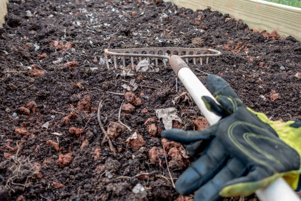 istock small home garden prepared for seeding in spring 1158530876