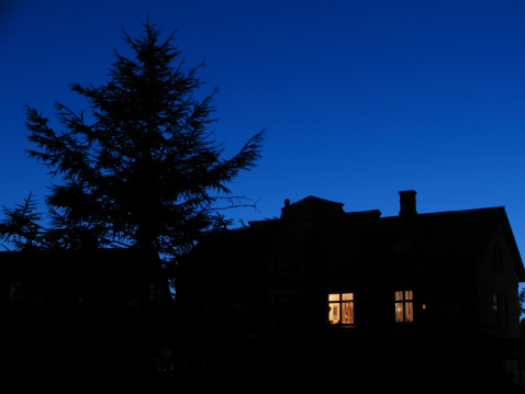 The blue hour... house seen from the garden.