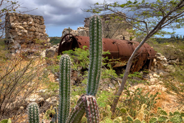 The site of former gold smelters on the Caribbean island of Aruba.