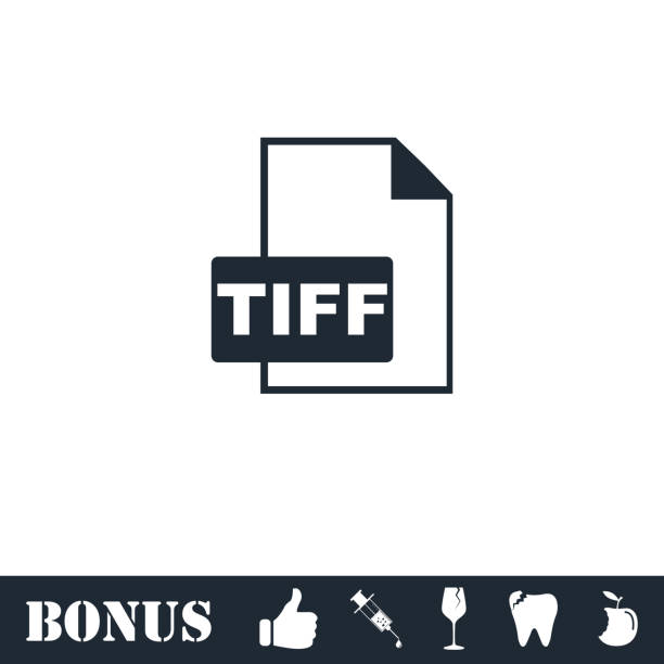 TIFF file icon flat TIFF file icon flat. Vector illustration symbol and bonus pictogram toronto international film festival stock illustrations