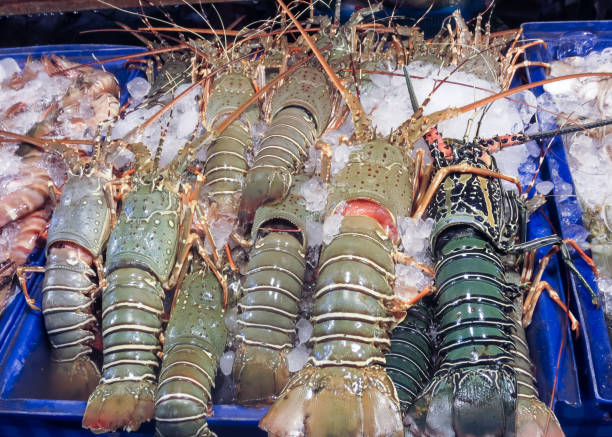 istock Large lobsters in the ice in the stores. 1158538969