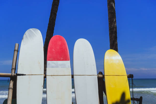 istock Many surfboards beside coconut trees at summer beach with sun light and blue sky background. 1158538979