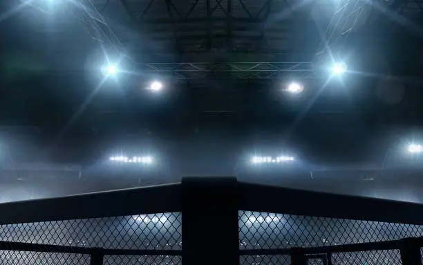 Photo of 3D render MMA arena. MMA octagon cages.