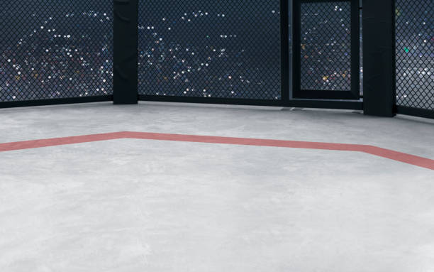 istock 3D render MMA arena. MMA octagon cages. 1158543287