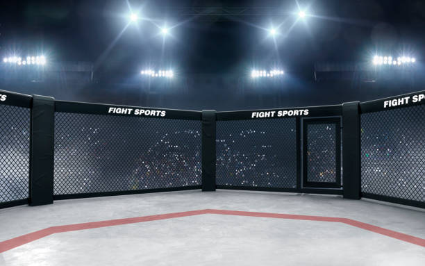 3d render mma arena. mma octagon cages. - confined space flash imagens e fotografias de stock