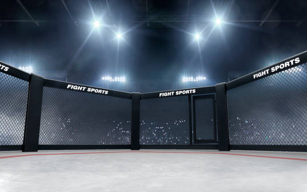 3d render mma arena. mma octagon cages. - confined space flash imagens e fotografias de stock