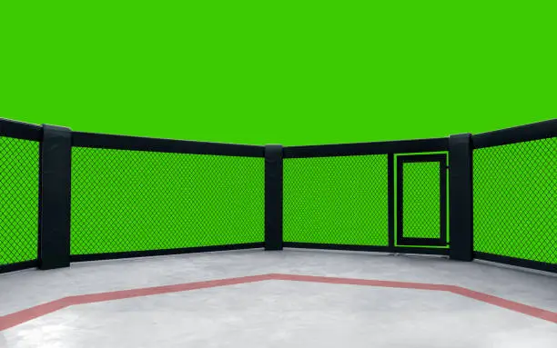 Photo of 3D render MMA arena. MMA octagon cages.