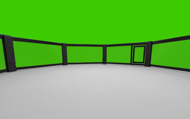 3d render mma arena. mma octagon cages. - confined space flash imagens e fotografias de stock