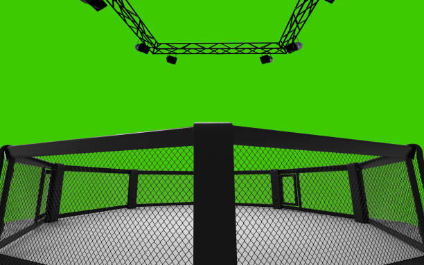 rendering 3d dell'arena mma. gabbie ottagono mma. - ultimate fighting foto e immagini stock