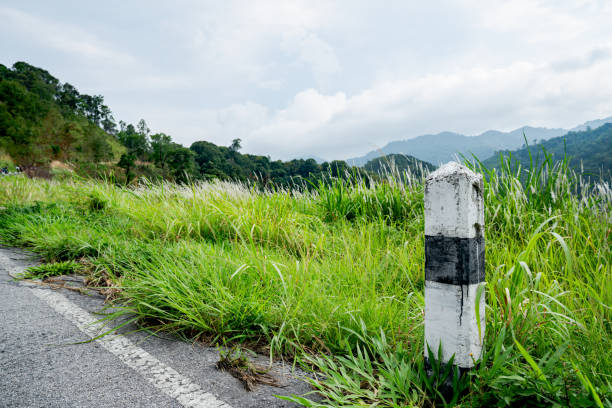 des kilomètres de piliers en béton de pierres noires et blanches sur la route sont couverts d'herbe. avec un ciel gris, les kilomètres rocheux sur la route sont couverts d'herbe. avec un ciel gris, des kilomètres rocheux - black forest forest sky blue photos et images de collection