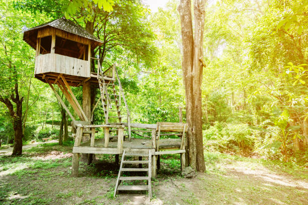 Beautiful creative handmade tree house in autumn fields
