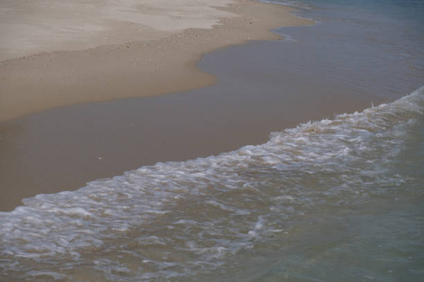 istock Beach with wave foam. Ocean water, sea surface 1158550482