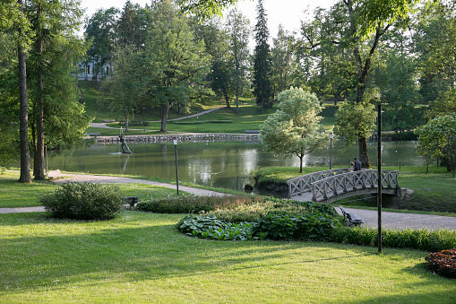City Cesis, Latvian republic. Pond with fountain in city park. Everything is blossoming and green around. 22.06.2019.