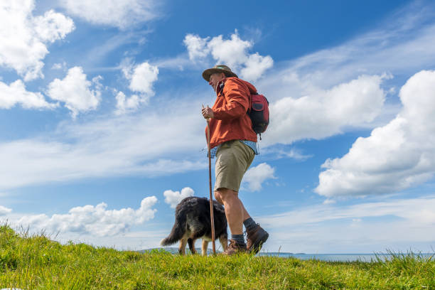 istock Active senior man hiking in countryside 1158555741