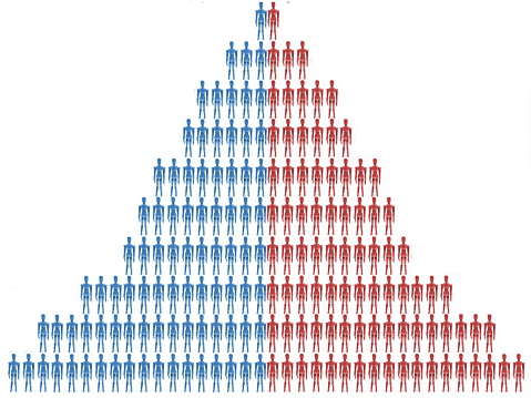 Demographic image