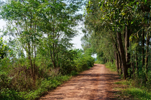 istock Dirt road connecting villages 1158559887