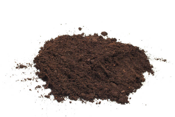 istock pile of soil isolated on white background - Image 1158559984