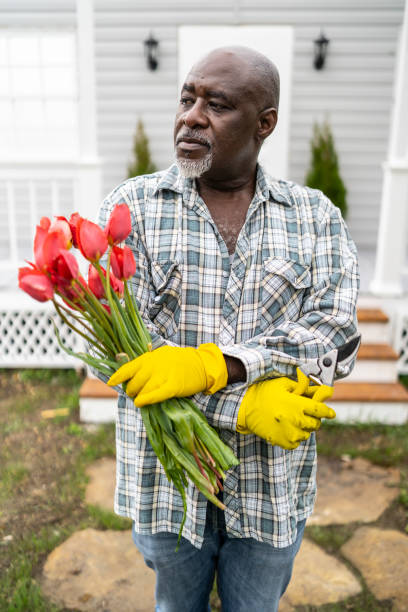 istock Gardener standing on back yard and holding tulips 1158561100