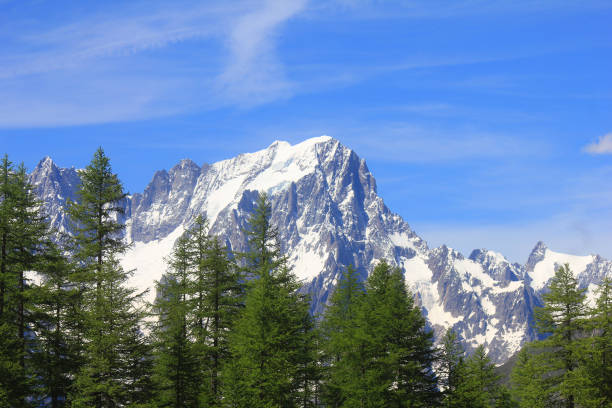 istock forest in front of the mountain 1158561493