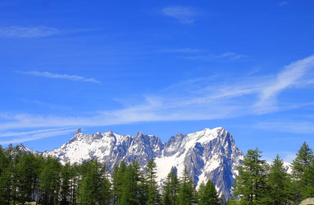 istock panorama of Mont Blanc with forest 1158561577