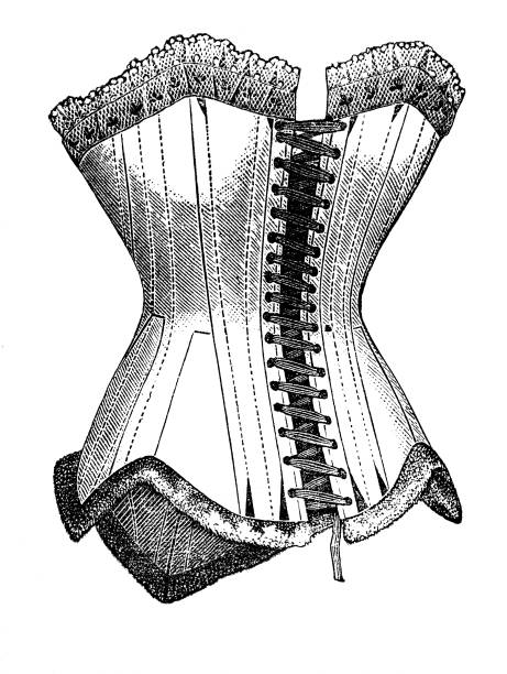 ilustrações de stock, clip art, desenhos animados e ícones de vintage corset victorian illustration - bustiers