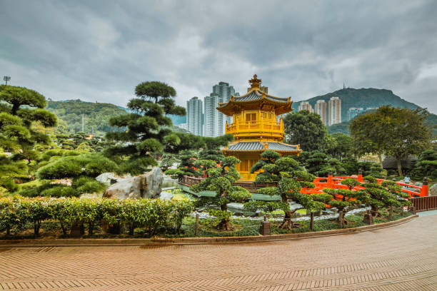 istock Nan Lian Garden,Hong Kong 1158562772