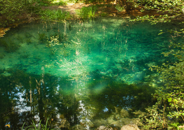 istock Forest reflections in spring water in mountain 1158563927