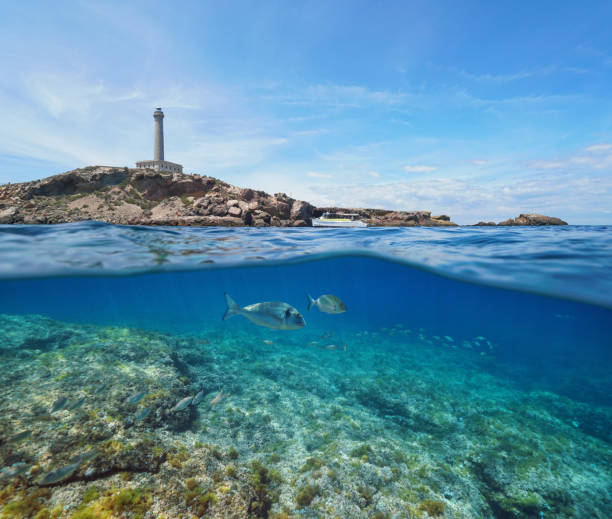 Coast lighthouse and fish underwater sea Spain Rocky coast with a lighthouse and fish underwater, split view half above and below water surface, Mediterranean sea, Cabo de Palos, Cartagena, Murcia, Spain cartagena spain stock pictures, royalty-free photos & images