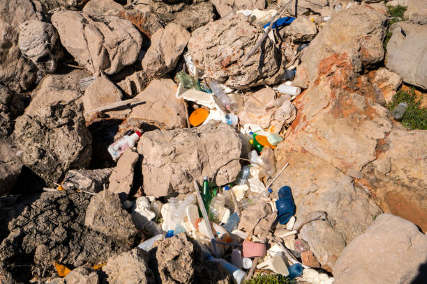 istock Waste collection on coastal rocks on Island Mljet, Croatia 1158567967