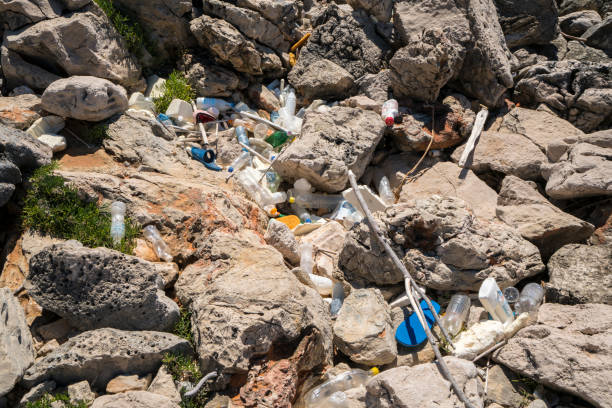 istock Waste collection on coastal rocks on Island Mljet, Croatia 1158568042