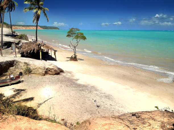This is my Photographic Image of a Barra Peninsula Seascape in Mozambique in a Watercolour Effect. Because sometimes you might want a more illustrative image for an organic look.
