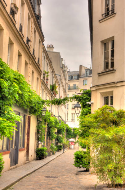 istock Paris, France 1158568149
