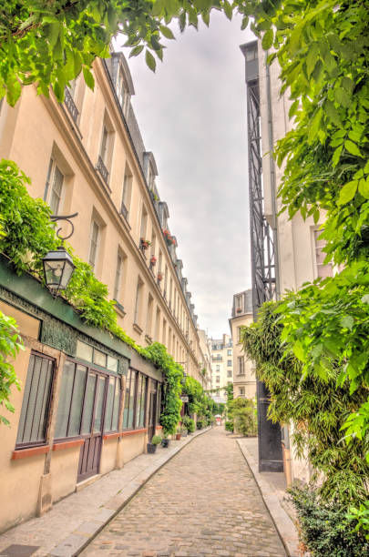 istock Paris, France 1158568153