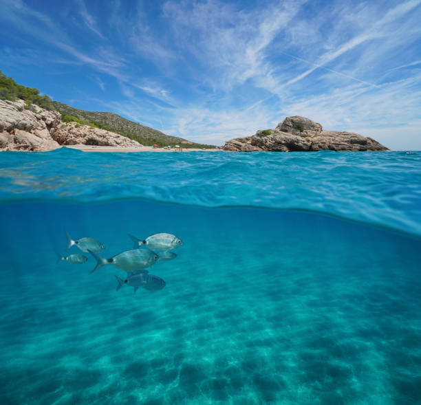 istock Beach and rock with fish and sand underwater sea 1158568198
