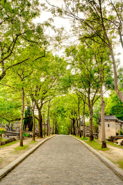 istock Paris, France 1158568614