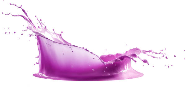 purple paint splash isolated on white background