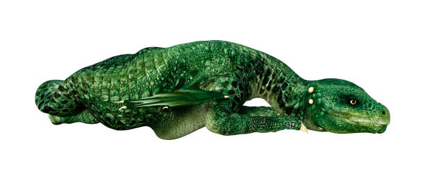 istock 3D illustration fantasy dragon on white 1158573524