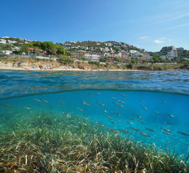 istock Beach with buildings and fish underwater sea Spain 1158575833