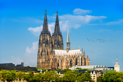 View to Cologne Cathedral and Rheinwiesen