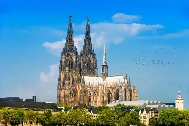 Photo of View to Cologne Cathedral and Rheinwiesen