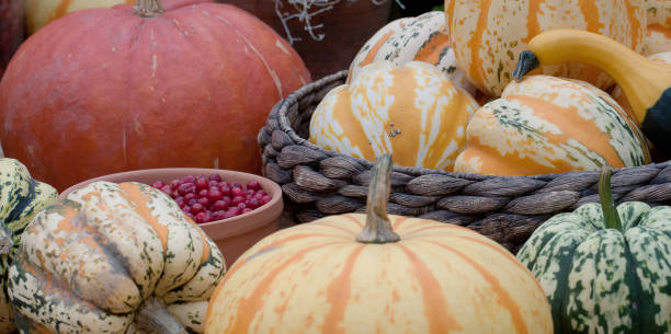 istock harvest season and preparations for the next season 1158577335