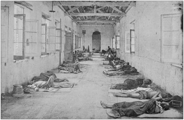 US Army black and white photos: Hospital, Philippines US Army black and white photos: Hospital, Philippines war photos stock illustrations
