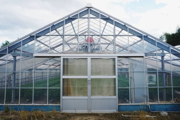 istock Greenhouse in the rural scene 1158578699