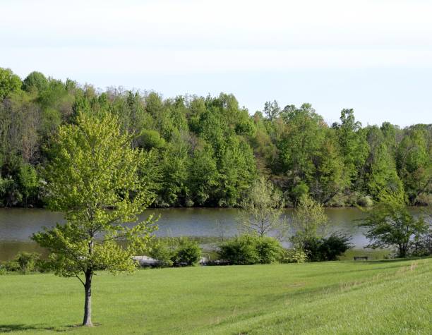 istock Lake on a Beautiful Spring Day 1158581760
