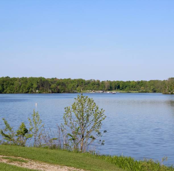 istock Lake from Grass Shore 1158582072