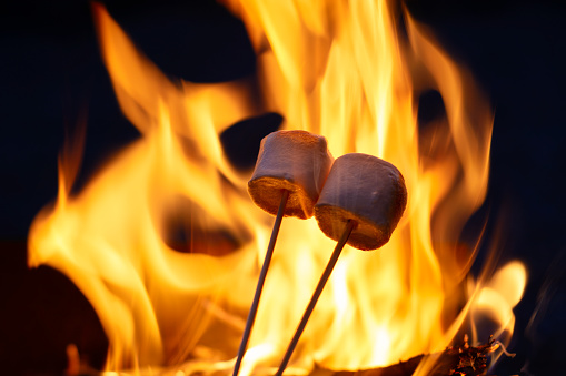 two marshmallows on the skewers roasting over the flames at the evening